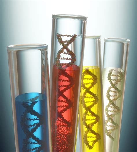 Blog | Genetic Testing for Cancer: What You Should Know - NFCR