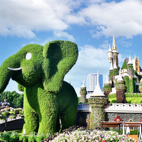 Dubai Miracle Garden Book Dubai Miracle Garden Tickets 2023 Online