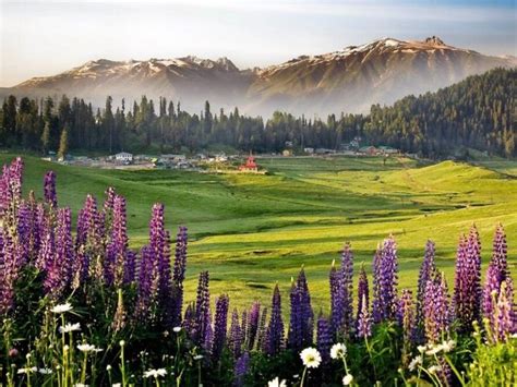 Reasons That Make Kashmir Heaven On Earth Trawell In Blog