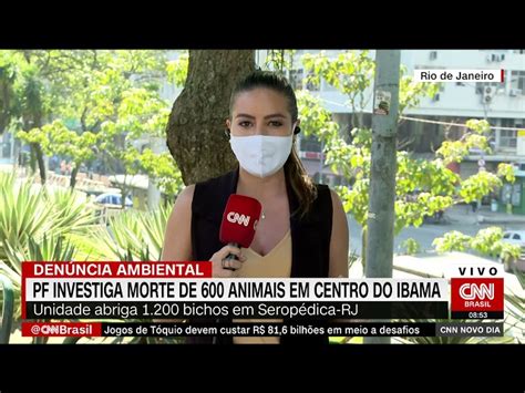 PF Investiga Morte De 600 Animais Silvestres Em Centro De Tratamento Do