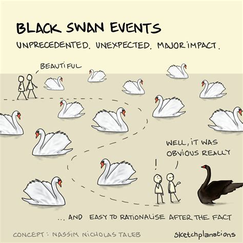 Black Swan Events Sketchplanations