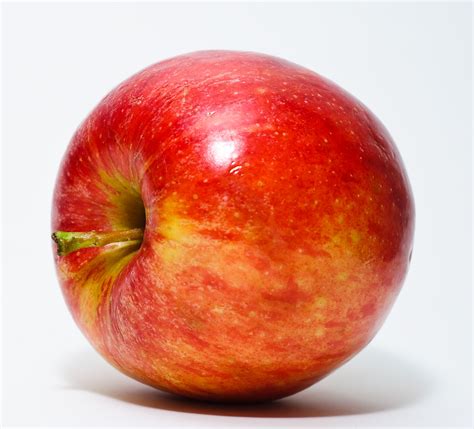 Filered Apple Wikipedia The Free Encyclopedia