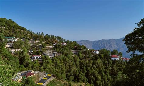 Mussoorie Dhanaulti Tour Package Book Best Price Bon Travel India