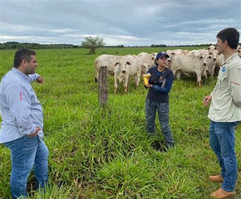 Ihp Recebe Sebrae Abpo E Embrapa Para Debate Sobre Produ O