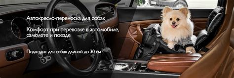 Натуральные лакомства для собак и кошек, Рога оленя и лося, Аксессуары ...