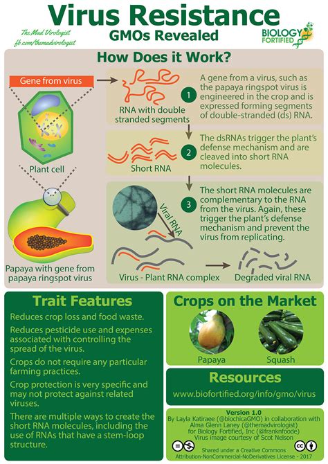 크롭라이프코리아 Croplife Korea 인포그래픽 바이러스 저항성 유전자 변형 작물