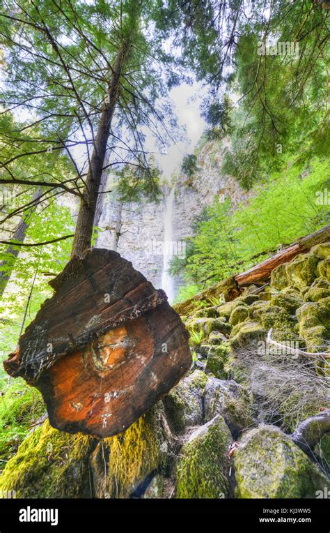 Watson Falls In The North Umpqua River Basin One Of The Highest