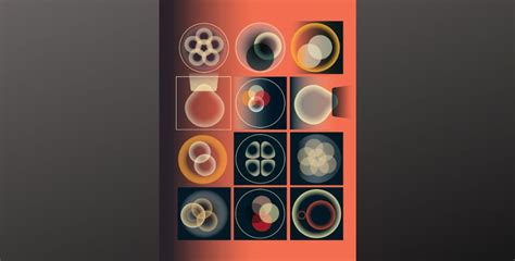 scientists call   favorite cells