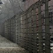 Auschwitz Birkenau Bilet Wst Pu Do Miejsca Pami Ci I Wycieczka Z