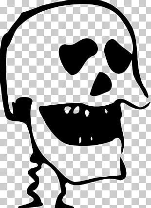 Human Skull Symbolism Calavera Bone Human Skeleton Png Clipart D