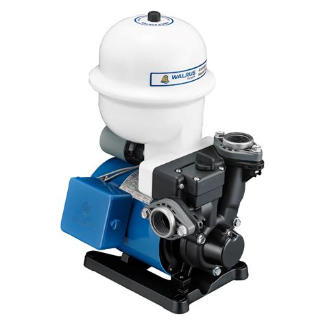 Walrus Pump Malaysia Water Pump Malaysia Industrial Water Pump