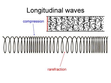 Longitudinal Axis Of Body 