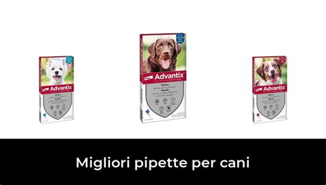 46 Migliori Pipette Per Cani Nel 2024 Recensioni Opinioni Prezzi