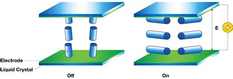 🖥️ Сравнение TN, IPS и VA матриц мониторов в 2025 году