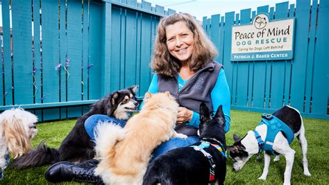 Fundraiser by Carie Broecker : Carie Broecker, Peace of Mind Dog Rescue
