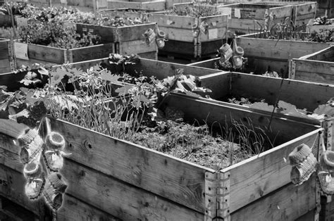 Ghost Gardens | Pegasus Theatre Chicago