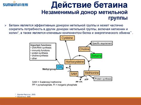 Основная информация о бетаине. Химические свойства - презентация онлайн