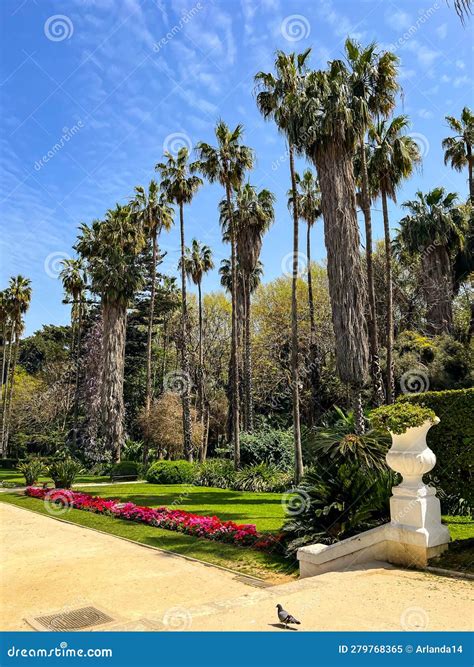 The Botanical Garden Jardin Dessai Du Hamma In Algiers Stock Image