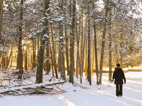 7 Blue Mountain Winter Activities For Winter Fun Dianas Healthy Living