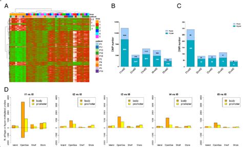 Differential Methylation Profile Between Donor And Recipient Hspcs A