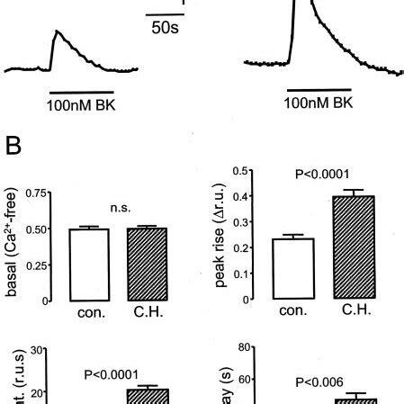 Chronic Hypoxia Causes Apparent Augmentation Of Ca Liberation From