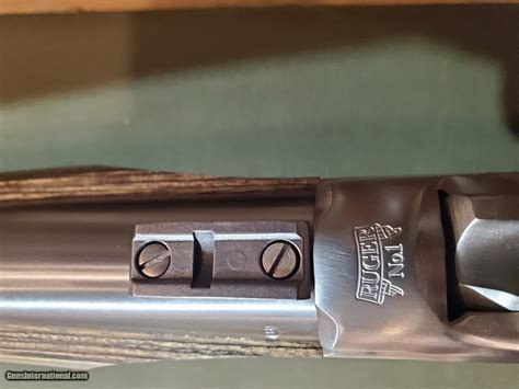 Ruger No 1 Laminate 204 Ruger Or 7stw