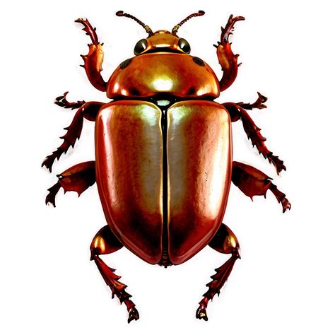 beetle png png images