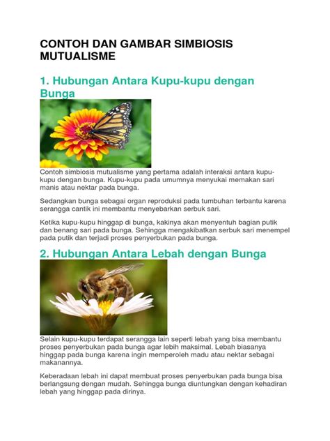 Contoh Dan Gambar Simbiosis Mutualisme Pdf