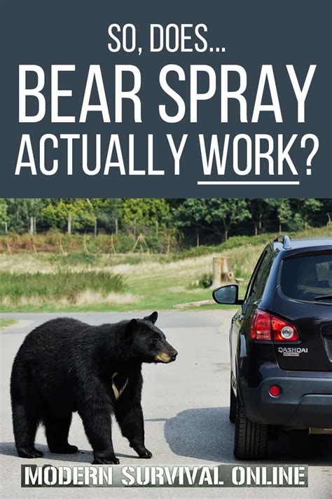 So, Does Bear Spray Actually Work? - Modern Survival Online