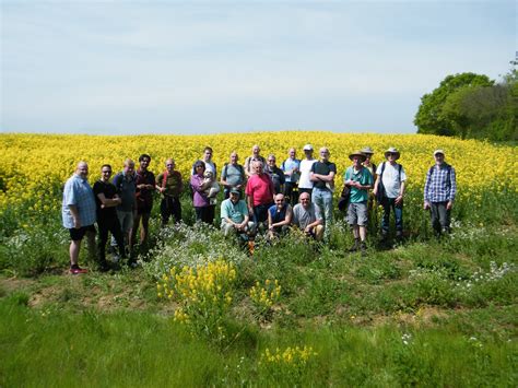 Dorset Group 14 May 23 All Around Horton Gay Outdoor Club