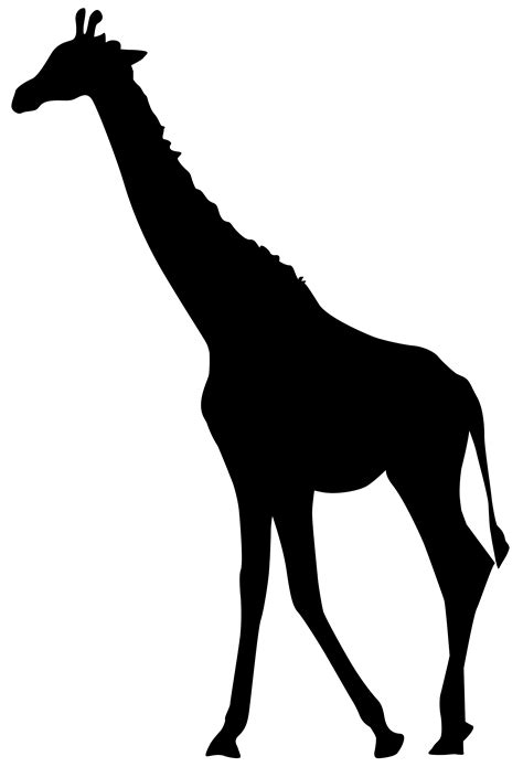 Giraffe Clipart Transparent Clipground
