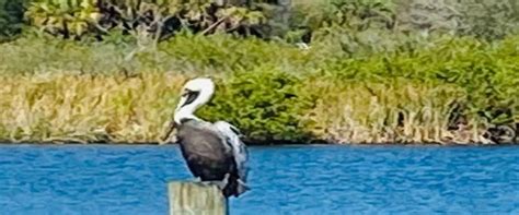 Palm Bay Regional Park