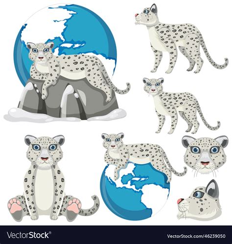 Set of mix snow leopard Royalty Free Vector Image