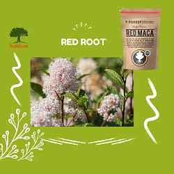 red root health boost