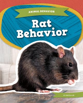 Rat Behavior (Animal Behavior) by Angela Lim | Goodreads
