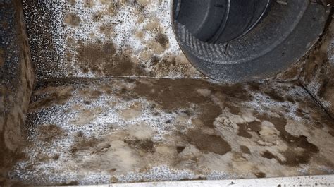 How To Remove Mold From Air Ducts