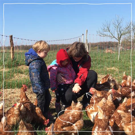 Ber Uns Der Karlshof In Nierendorf Landwirtschaft Bildung