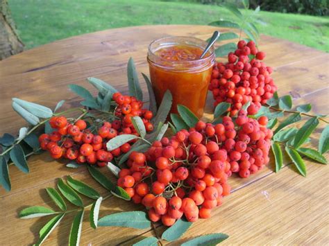 Hilft Sorbit beim Abnehmen und senkt den Blutzuckerspiegel?