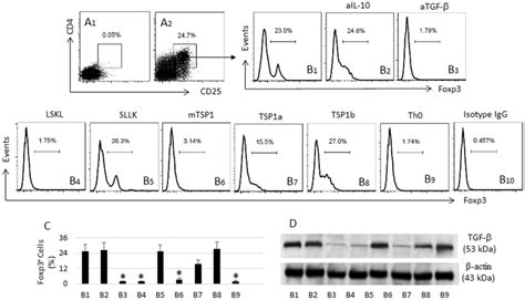 | CD35 1 B cells possess tolerogenic properties. CD35 1 B cells were ...