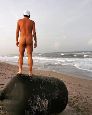 Blind Creek Beach Florida Porn Pictures XXX Photos Sex Images Page PICTOA