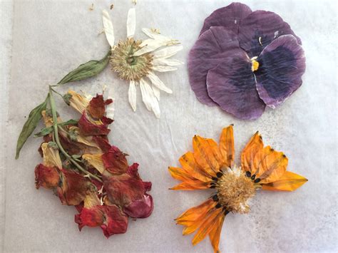 Diy Book Flower Press Free Craft From The Garden Be A Fun Mum