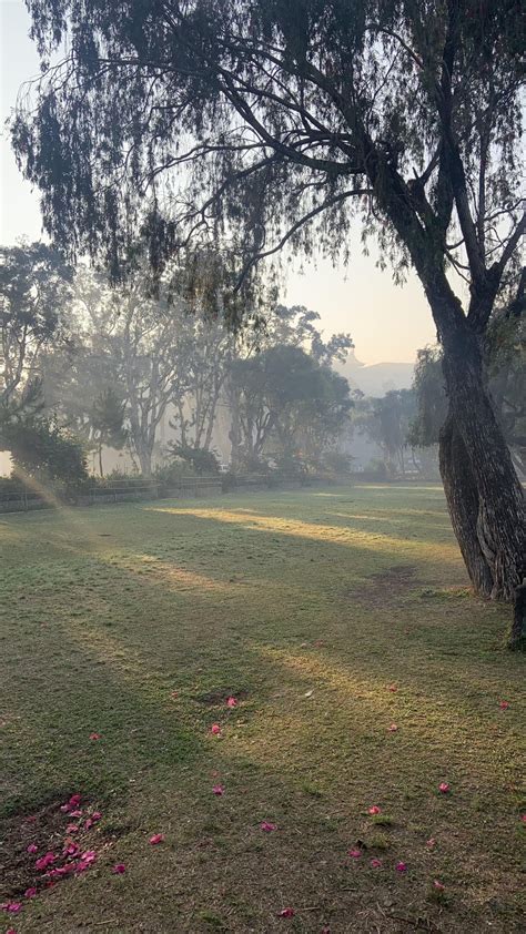 Burnham In The Veil Of The Early Morning Mist Rbaguio