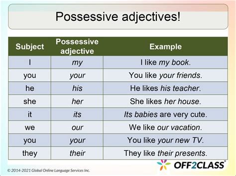 teach possessive adjectives   fun  esl lesson plan oer