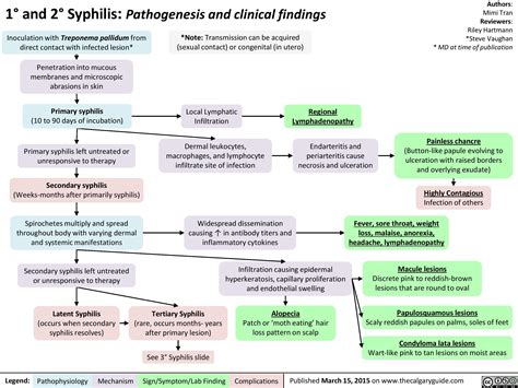 1 And 2 Syphilis Pathogenesis And Clinical Findings Calgary Guide