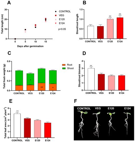 E120 food additive impacts health in ways you never expected 7