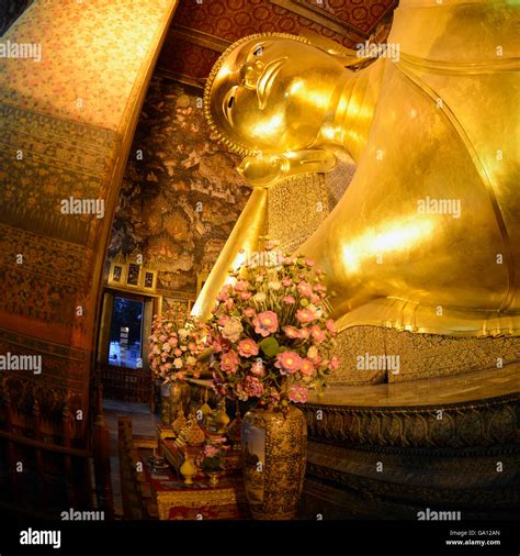 reclining buddha   temple  wat pho   city  bangkok