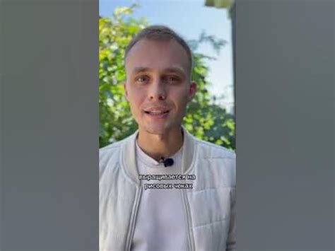 Кубанский рис это ЯД - YouTube