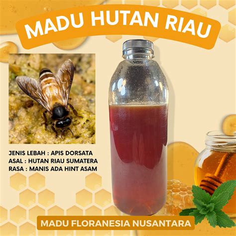 Jual Madu Murni Madu Asli Hutan Odeng Kg Kualitas Premium Full Nektar