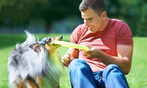 Bond Between A Dog And Its Owner Is Similar To The One Shared Between A