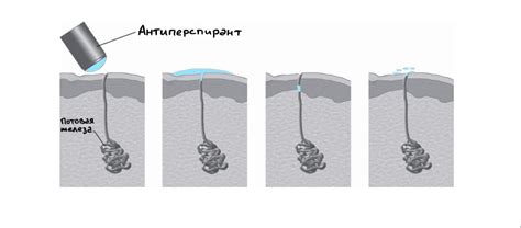 Соли алюминия в составах антиперспирантов – комментарий химика | Химия ...
